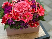Florist köməkçisi işi axtarıram