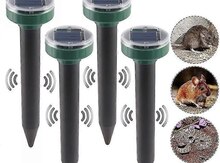 Solar ilan qovan