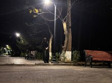 Ofisiant işi axtarıram