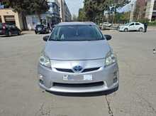 Toyota Prius, 2010 il