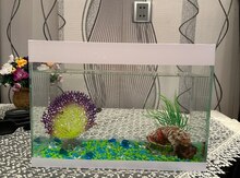 Akvarium