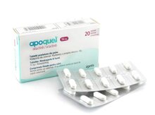 Apoquel 16mg