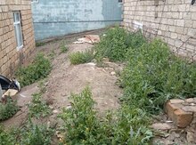 1 sot torpaq sahəsi, Sulutəpə qəs.