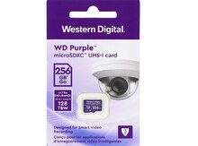 WD Mikrokart 256GB High Endurance kamera üçün