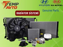 Hyundai, Kia radiator sistemi