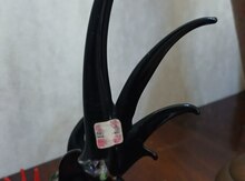 Xoruz fiquru