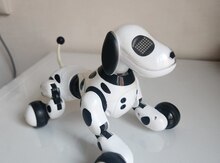 Robot it Zoomer