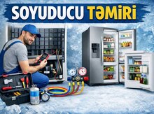 Soyuducu və paltaryuyan ustası