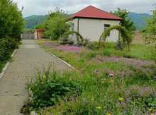 Həyət evi kirayə verilir, Quba r.