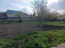 9 sot torpaq sahəsi, İsmayıllı r.