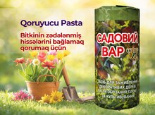 Bitkilər üçün qoruyucu pasta
