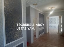 Usta xidməti