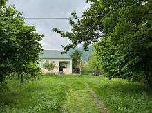 Həyət evi kirayə verilir, İsmayıllı r.
