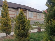Bağ evi kirayə verilir, İsmayıllı r.