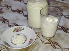 Kefir mayası