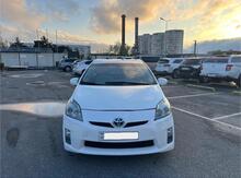 Toyota Prius, 2010 icarəsi