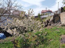10 sot torpaq sahəsi, Qusar r.