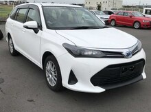Toyota Fielder icarəsi