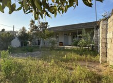 Bağ evi kirayə verilir, Buzovna qəs.