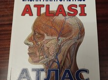 V.B.Şadlinski İnsan Anatomiyası Atlası