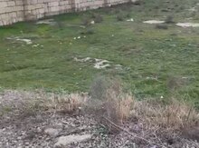 2 sot torpaq sahəsi, Saray qəs.