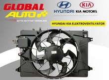 Hyundai Kia pəri