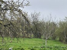 21 sot torpaq sahəsi, Qusar r.