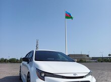 Toyota Corolla, 2019 il