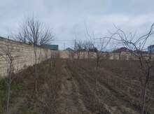 45 sot torpaq sahəsi, Buzovna qəs.