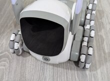 Robot it