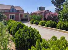 Bağ evi kirayə verilir, Novxanı qəs.