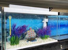 Akvarium 