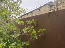 Su çəni