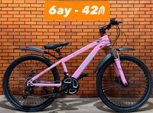 Velosioed 24 Fullbike-F
