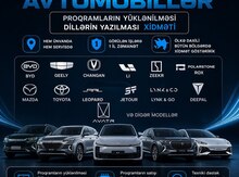 Avtomobillərə dil və proqramların yazılması