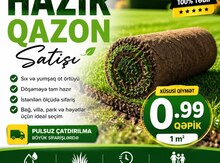 Qazon
