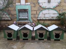 Pişik yuvası
