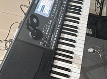 Musiqiçi xidməti