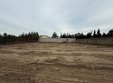 6 sot torpaq sahəsi, Şüvəlan qəs.
