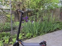 Skuter Ninebot 