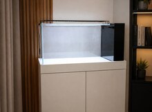 Akvarium və altlığı