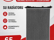 BYD su radiatoru