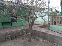 Həyət evi, Maştağa qəs.