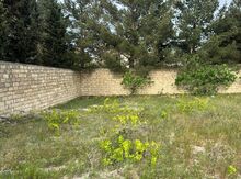 2 sot torpaq sahəsi, Novxanı bağları