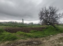 10 sot torpaq sahəsi, Quba r.