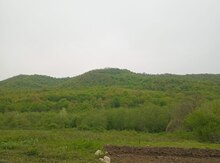 110 sot torpaq sahəsi, Quba r.