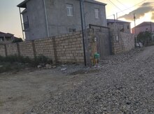 Həyət evi, Saray qəs.