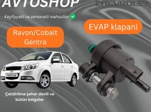 Ravon, Chevrolet Cobalt, Daewoo Gentra EVAP sensoru
