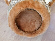 Pişik yuvası