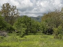 5 sot torpaq sahəsi, Qəbələ r.